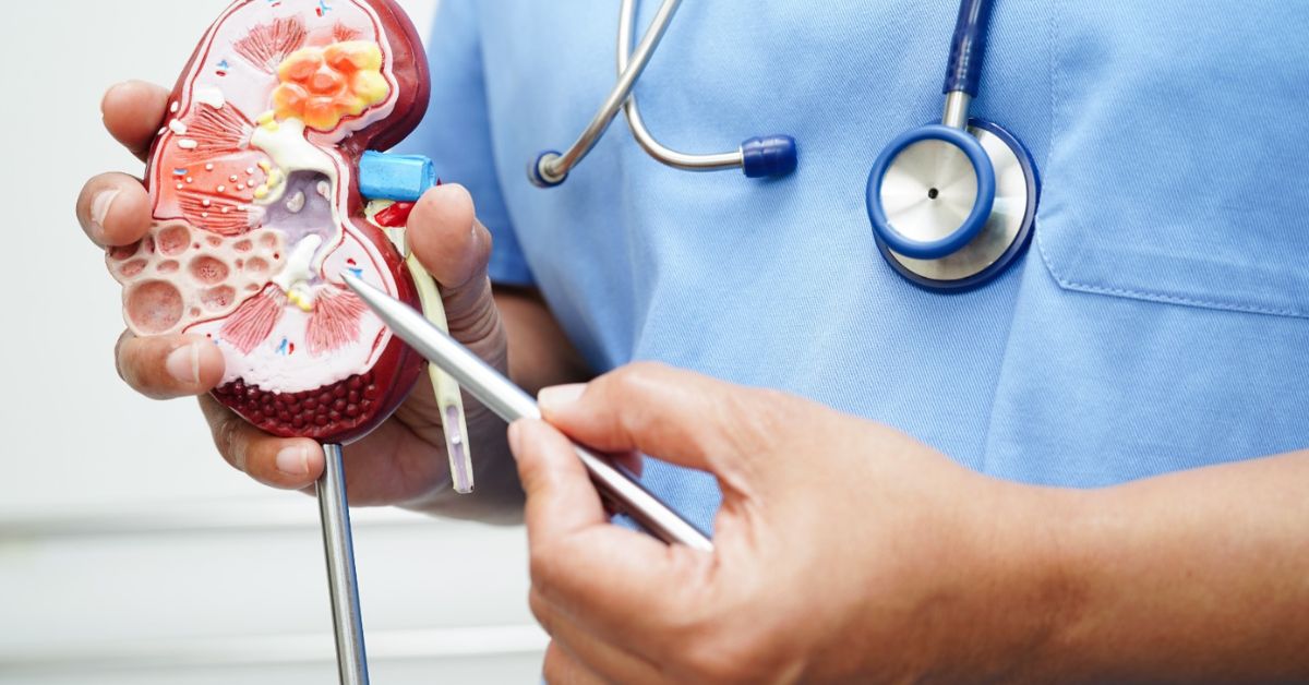 Burning Urination and Kidney Pain When to See a Urology Doctor