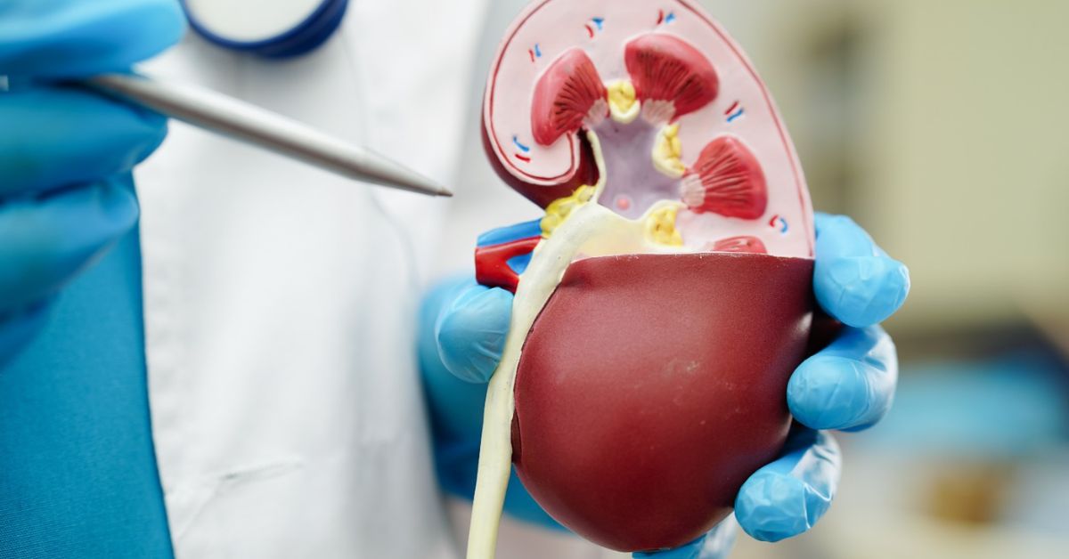 Top Urology Care in Indore – When to Visit a Urologist in Indore